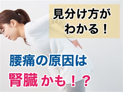 横腰|腰痛の原因は？内蔵が原因のケース・症状・検査・治。